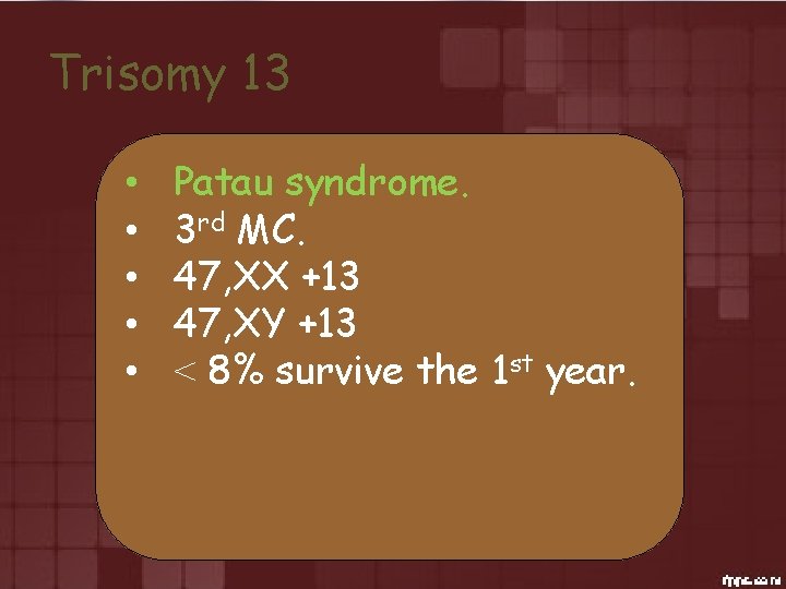 Trisomy 13 • • • Patau syndrome. 3 rd MC. 47, XX +13 47,