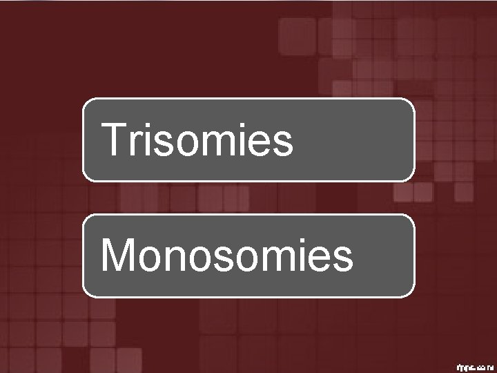 Trisomies Monosomies 