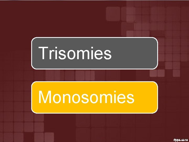 Trisomies Monosomies 