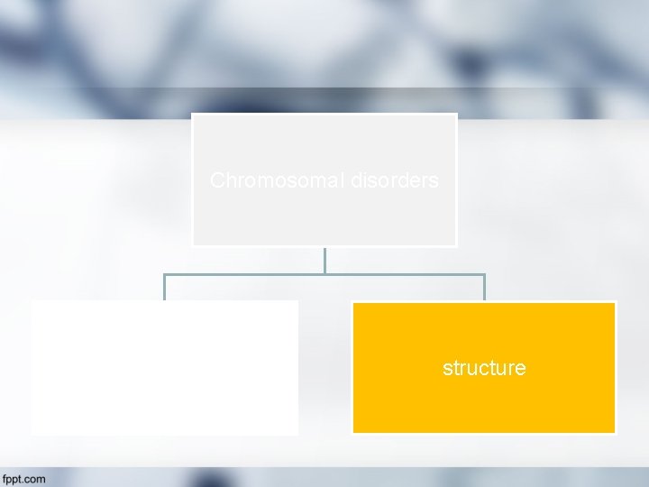 Chromosomal disorders Number structure 