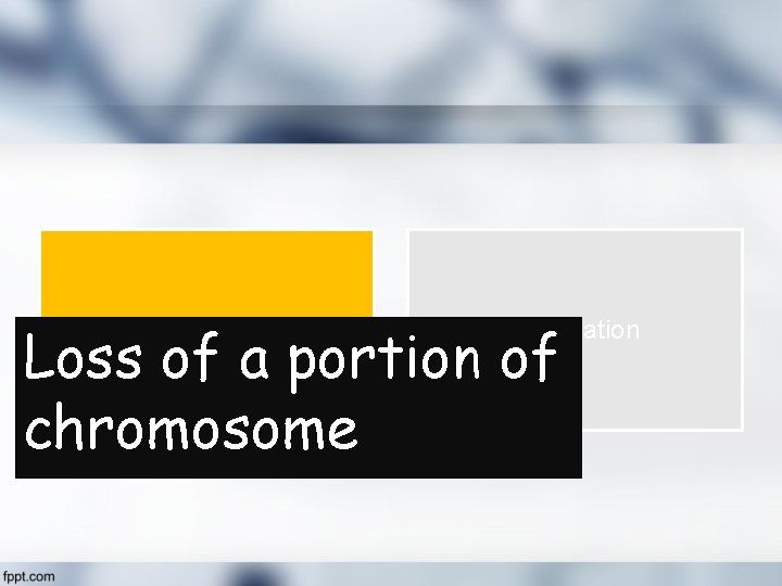Loss of a portion of chromosome Deletion Duplication 