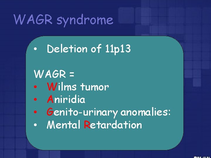 WAGR syndrome • Deletion of 11 p 13 WAGR = • Wilms tumor •