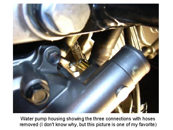 Water pump housing showing the three connections with hoses removed (I don't know why,
