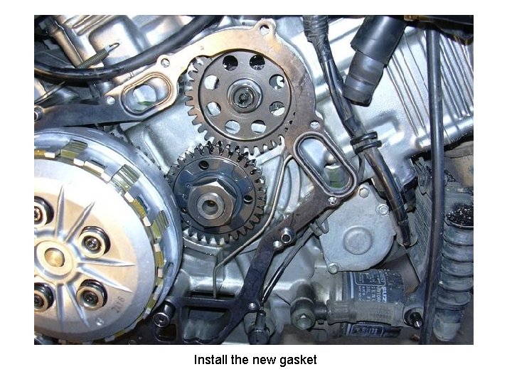 Install the new gasket 