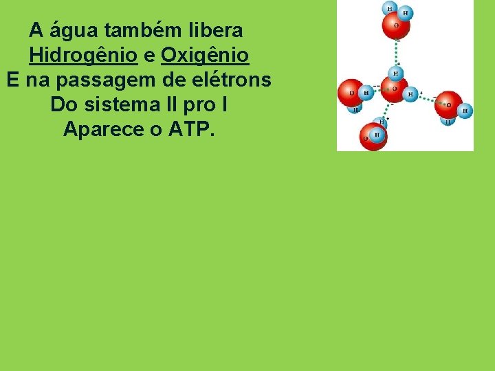 A água também libera Hidrogênio e Oxigênio E na passagem de elétrons Do sistema