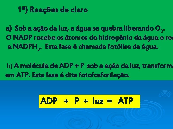 1ª) Reações de claro a) Sob a ação da luz, a água se quebra