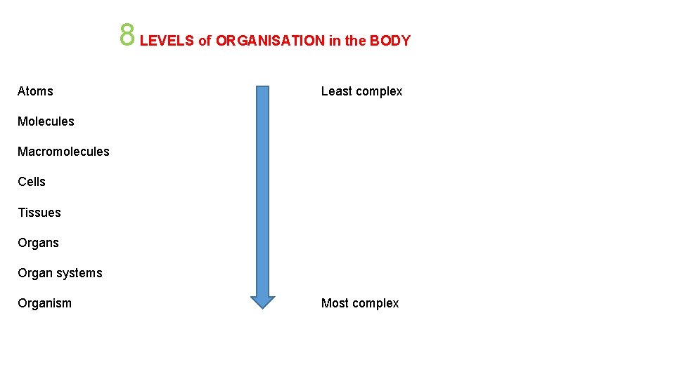 8 LEVELS of ORGANISATION in the BODY Atoms Least complex Molecules Macromolecules Cells Tissues