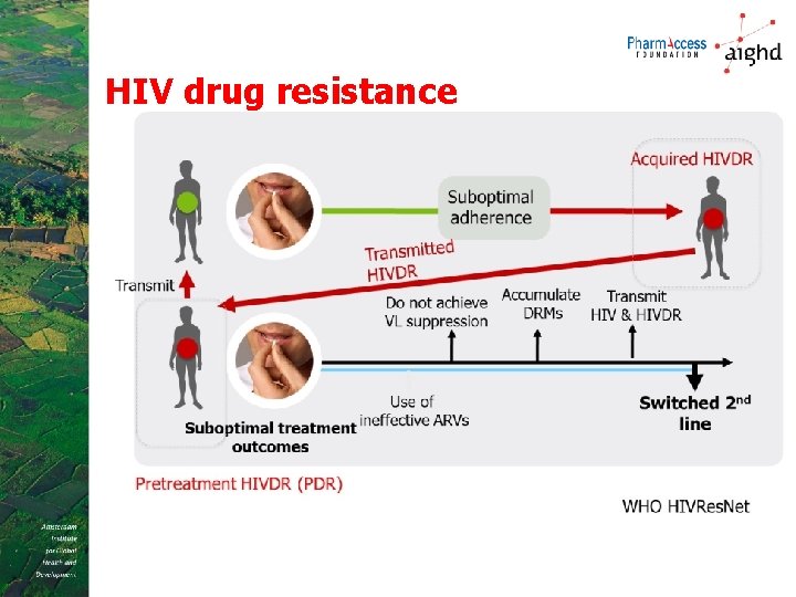 HIV drug resistance 