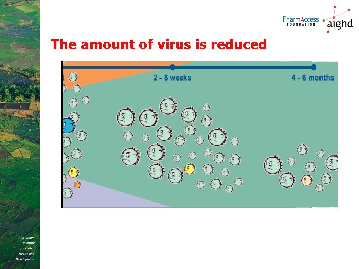 The amount of virus is reduced 