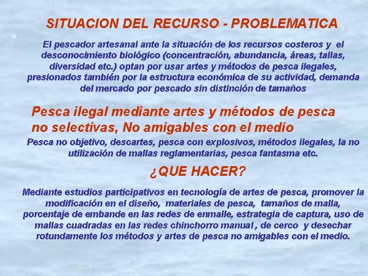 SITUACION DEL RECURSO - PROBLEMATICA El pescador artesanal ante la situación de los recursos