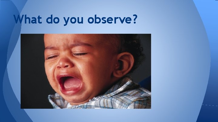 What do you observe? 