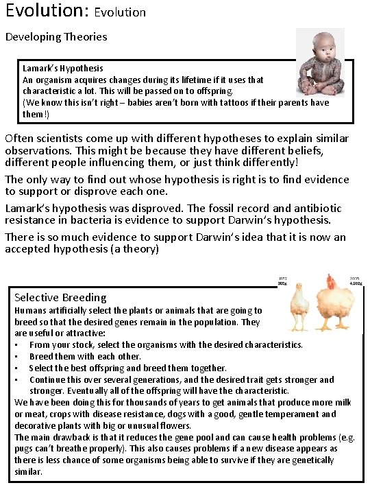 Evolution: Evolution Developing Theories Lamark’s Hypothesis An organism acquires changes during its lifetime if