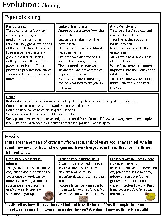 Evolution: Cloning Types of cloning Plant Cloning Tissue culture – a few plant cells