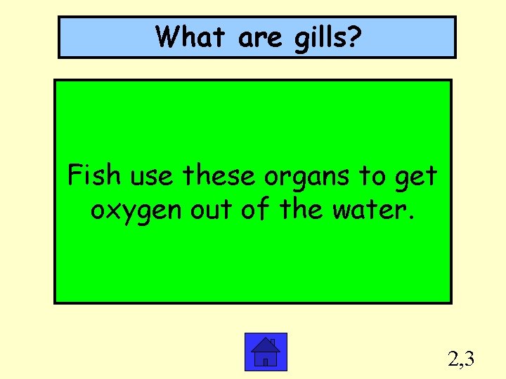 What are gills? Fish use these organs to get oxygen out of the water.