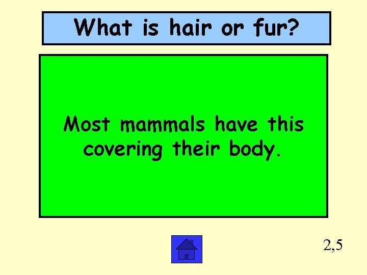 What is hair or fur? Most mammals have this covering their body. 2, 5