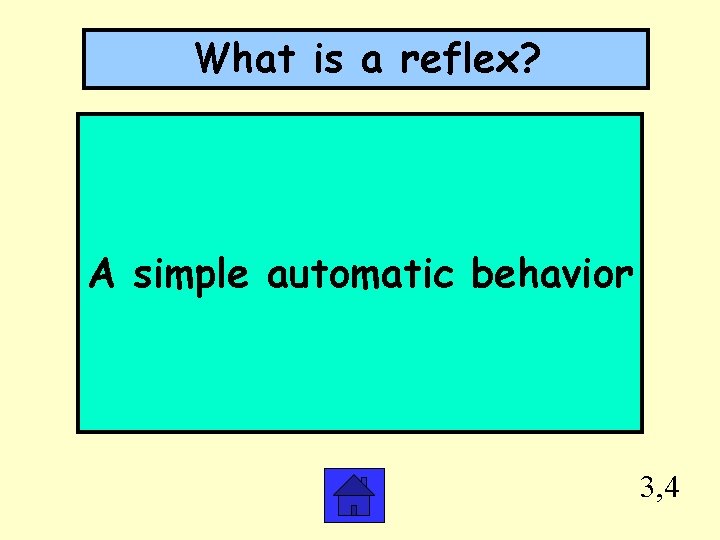 What is a reflex? A simple automatic behavior 3, 4 