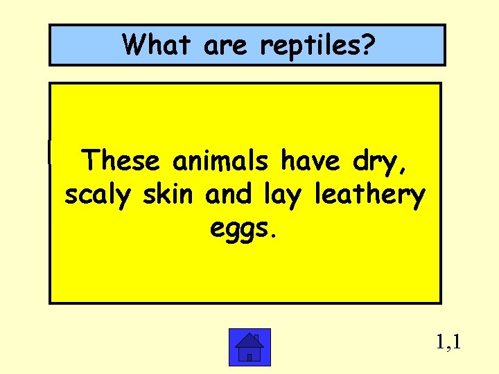 What are reptiles? These animals have dry, scaly skin and lay leathery eggs. 1,