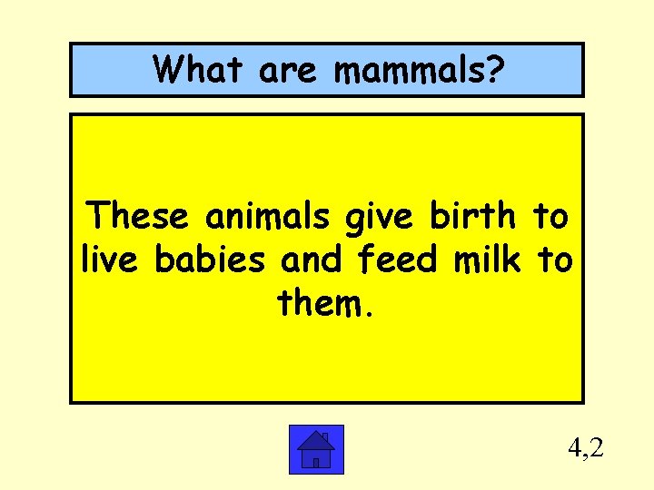 What are mammals? These animals give birth to live babies and feed milk to