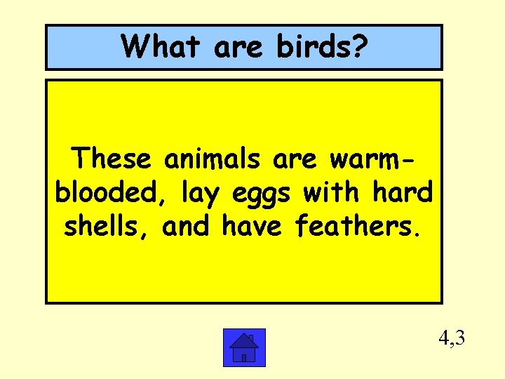 What are birds? These animals are warmblooded, lay eggs with hard shells, and have