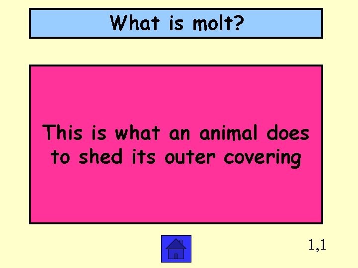 What is molt? This is what an animal does to shed its outer covering