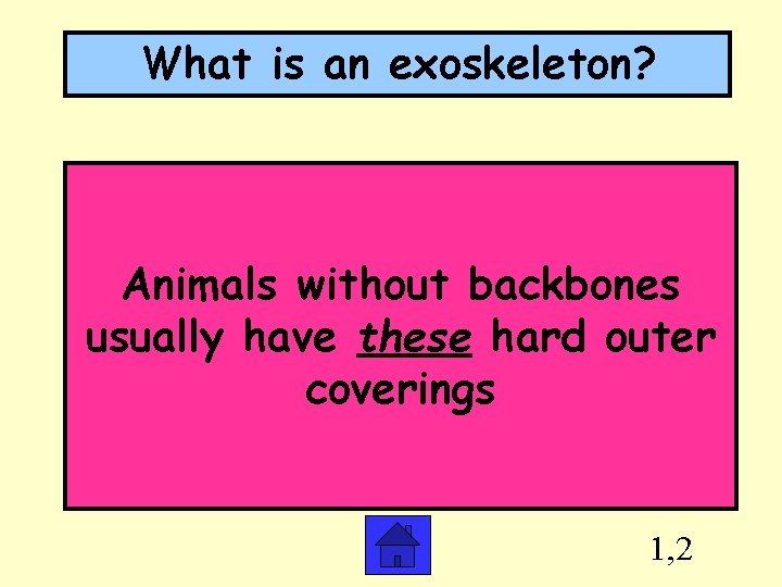 What is an exoskeleton? Animals without backbones usually have these hard outer coverings 1,