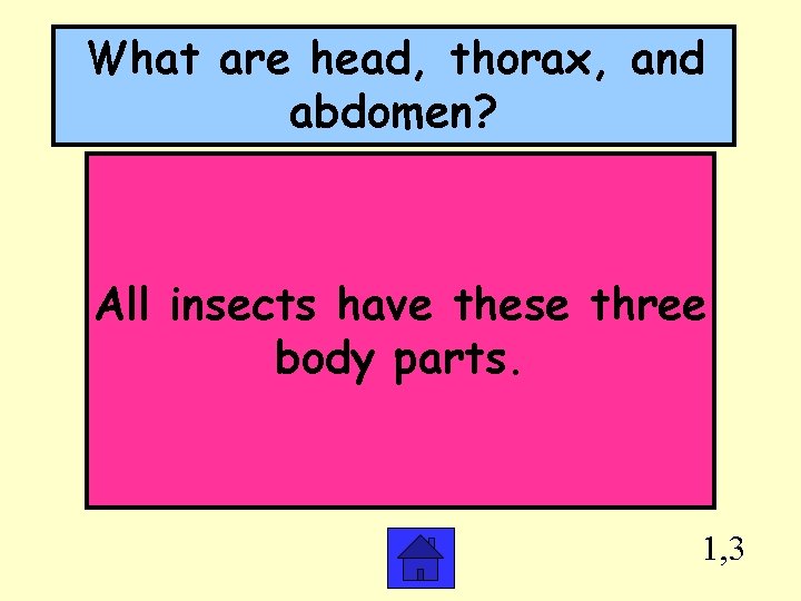 What are head, thorax, and abdomen? All insects have these three body parts. 1,