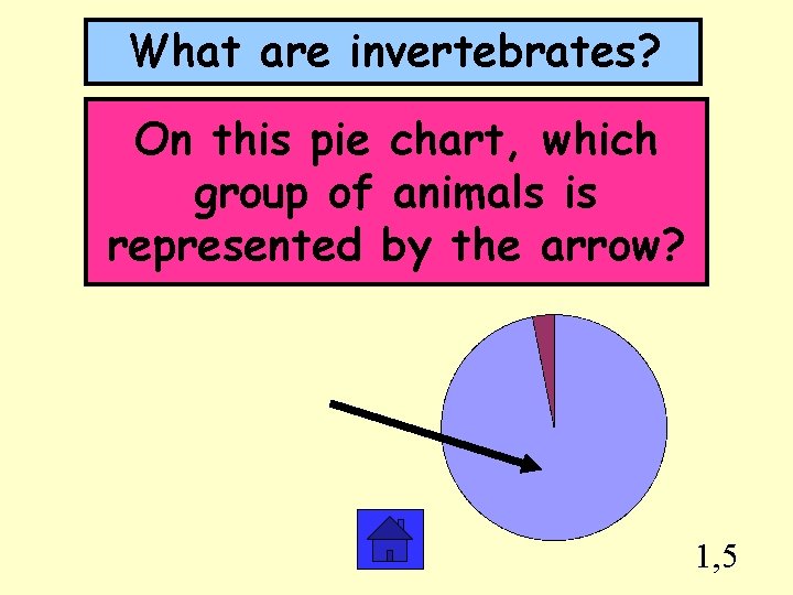 What are invertebrates? On this pie chart, which group of animals is represented by