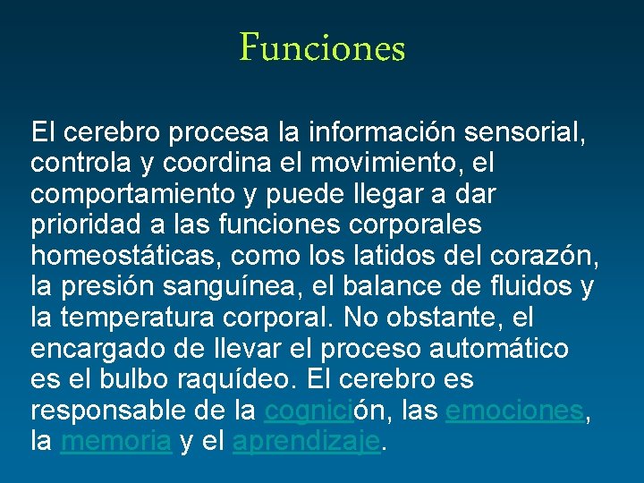 Funciones El cerebro procesa la información sensorial, controla y coordina el movimiento, el comportamiento