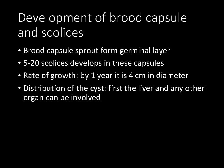 Development of brood capsule and scolices • Brood capsule sprout form germinal layer •