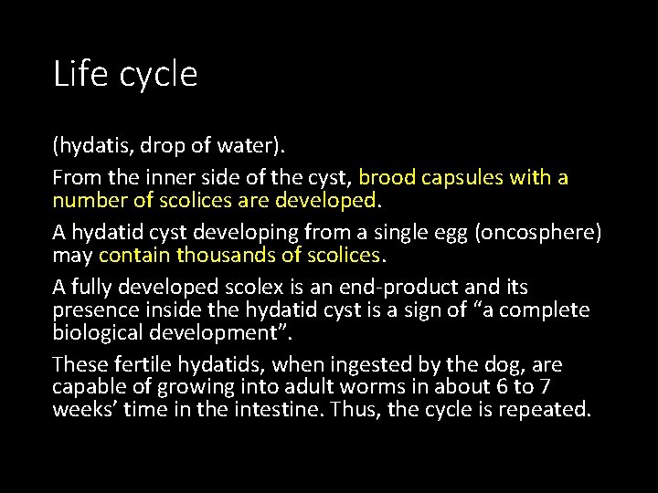 Life cycle (hydatis, drop of water). From the inner side of the cyst, brood