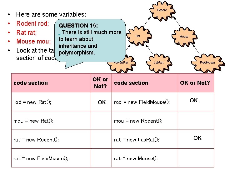 • • • Here are some variables: Rodent rod; QUESTION 15: There is • • • Here are some variables: Rodent rod; QUESTION 15: There is