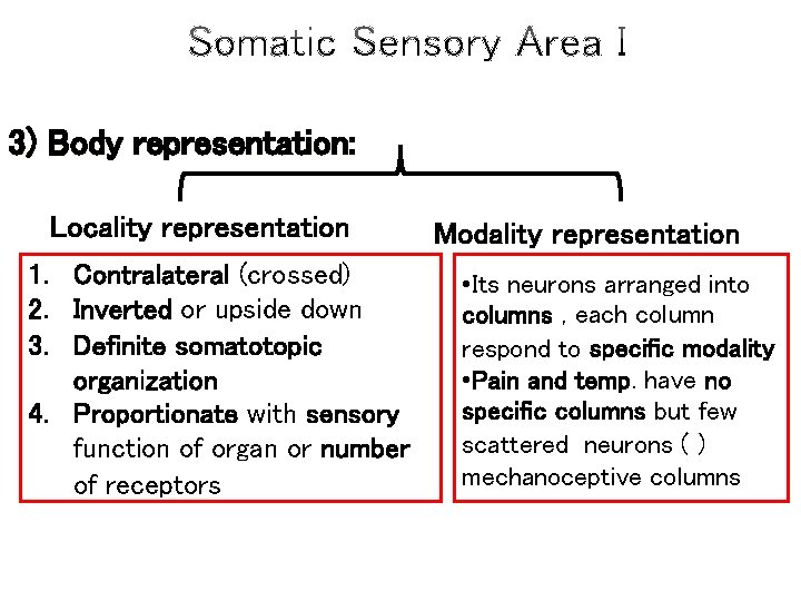 3) Body representation: Locality representation 1. Contralateral (crossed) 2. Inverted or upside down 3.