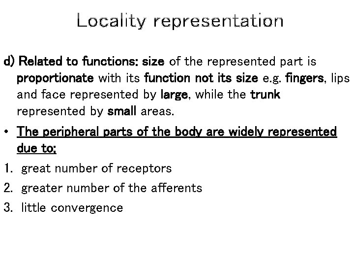 d) Related to functions: size of the represented part is proportionate with its function