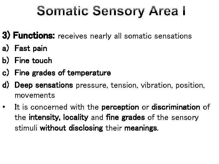 3) Functions: receives nearly all somatic sensations a) b) c) d) • Fast pain