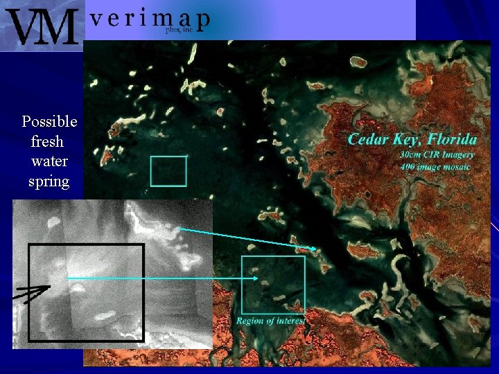 Possible fresh water spring 