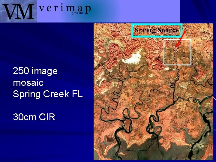 Spring Source 250 image mosaic Spring Creek FL 30 cm CIR 
