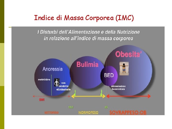 Indice di Massa Corporea (IMC) 