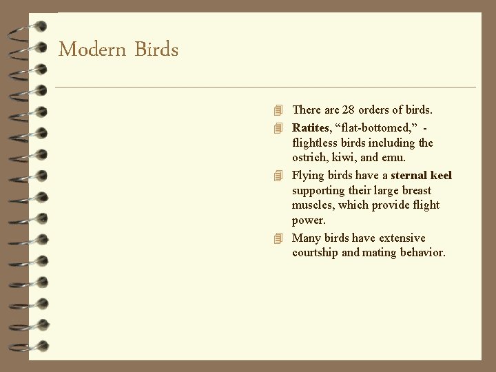 Modern Birds 4 There are 28 orders of birds. 4 Ratites, “flat-bottomed, ” -