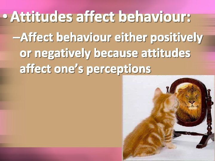  • Attitudes affect behaviour: –Affect behaviour either positively or negatively because attitudes affect