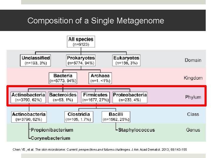 Composition of a Single Metagenome Chen YE, et al. The skin microbiome: Current perspectives