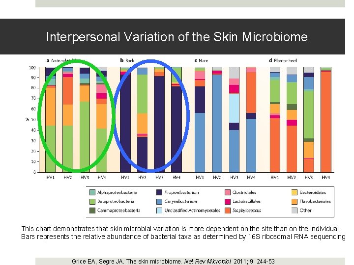 Interpersonal Variation of the Skin Microbiome This chart demonstrates that skin microbial variation is