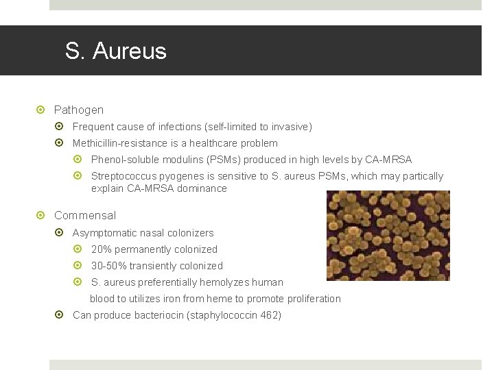 S. Aureus Pathogen Frequent cause of infections (self-limited to invasive) Methicillin-resistance is a healthcare