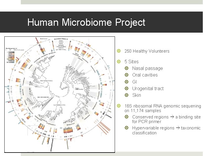 Human Microbiome Project 250 Healthy Volunteers 5 Sites Nasal passage Oral cavities GI Urogenital