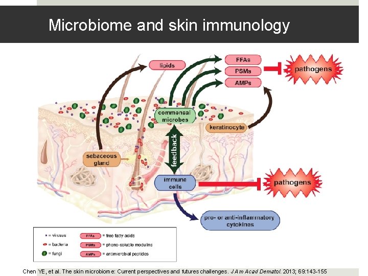 Microbiome and skin immunology Chen YE, et al. The skin microbiome: Current perspectives and