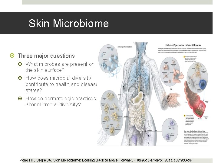 Skin Microbiome Three major questions What microbes are present on the skin surface? How