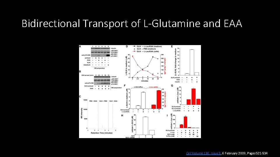 Bidirectional Transport of L-Glutamine and EAA Cell Volume 136, Issue 3, 6 February 2009,