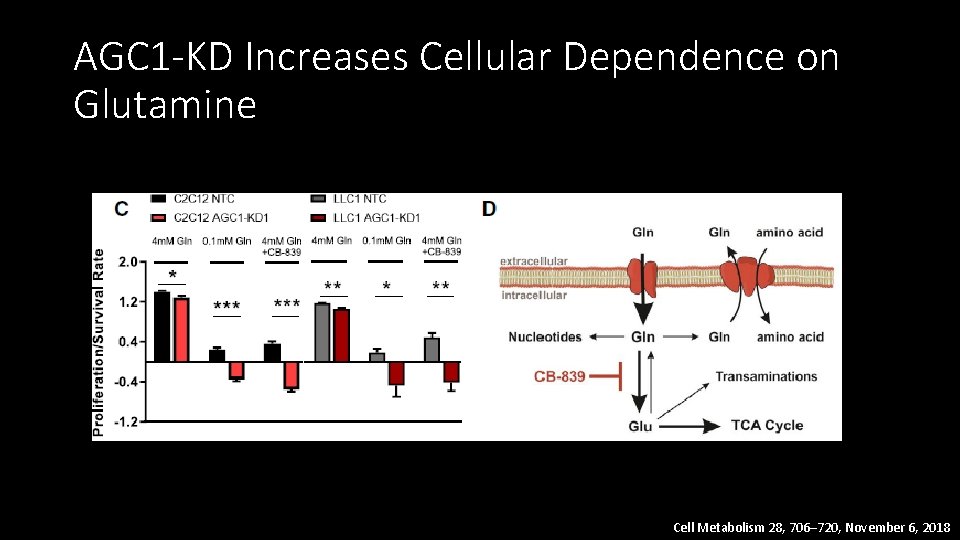 AGC 1 -KD Increases Cellular Dependence on Glutamine Cell Metabolism 28, 706– 720, November
