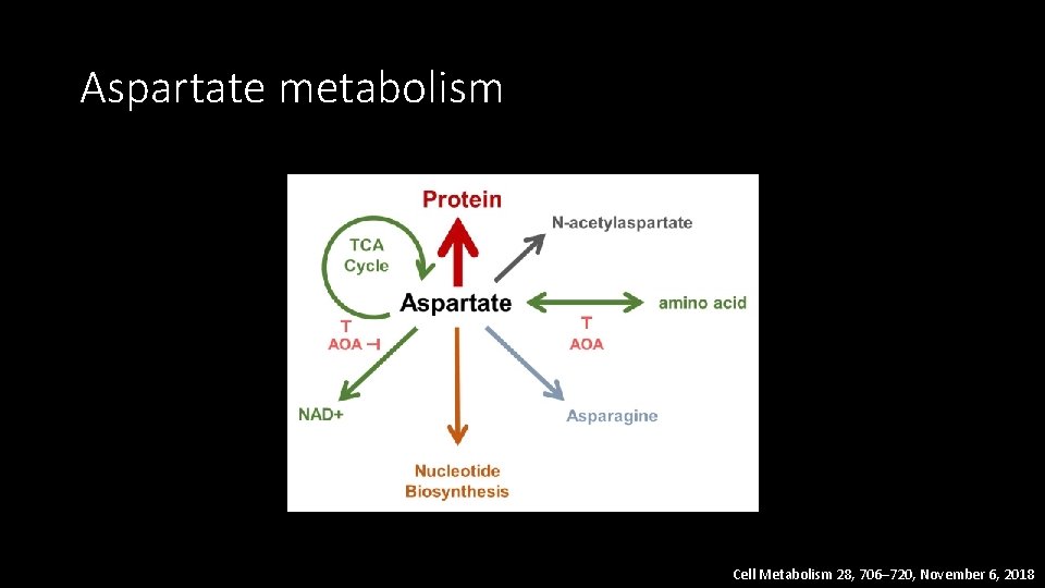 Aspartate metabolism Cell Metabolism 28, 706– 720, November 6, 2018 
