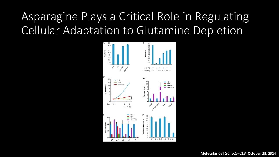 Asparagine Plays a Critical Role in Regulating Cellular Adaptation to Glutamine Depletion Molecular Cell