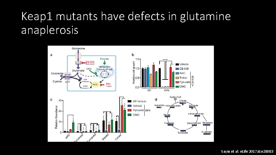 Keap 1 mutants have defects in glutamine anaplerosis Sayin et al. e. Life 2017;